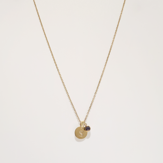 Initial & Birthstone Necklace in Gold