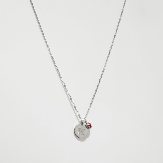 Initial & Birthstone Necklace in Silver